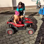 phoca_thumb_m_krtci a doprava 3 Fotogalerie